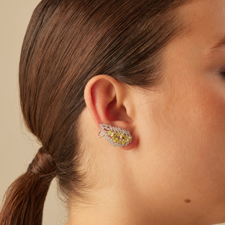 ASYMMETRISCHE AGRA OORRINGEN