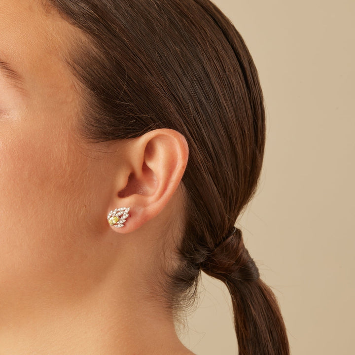 ASYMMETRISCHE AGRA OORRINGEN