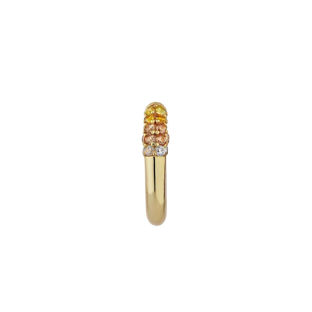 Ohrring Piercing Ring Tutti Frutti  