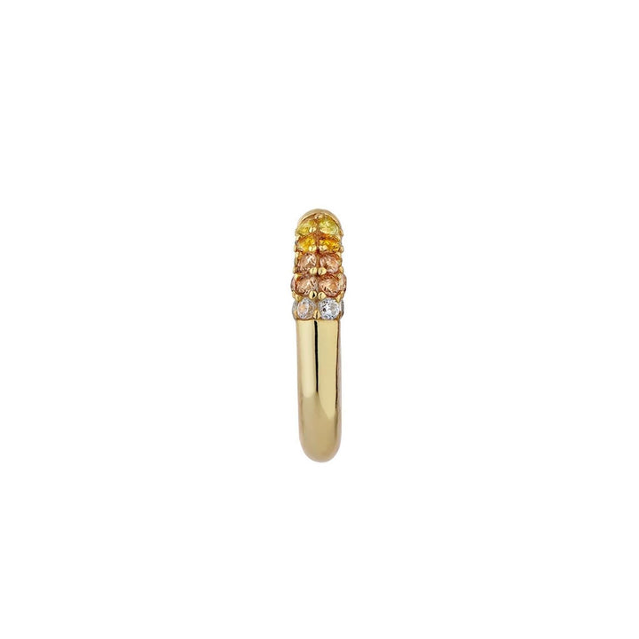 Ohrring Piercing Ring Tutti Frutti  