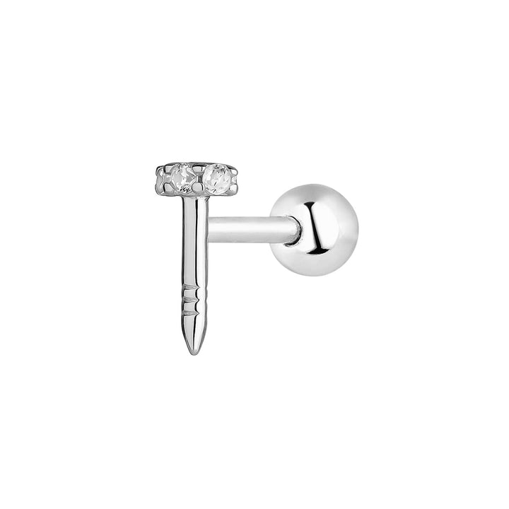 ZILVEREN PIERCING OORBEL VIS
