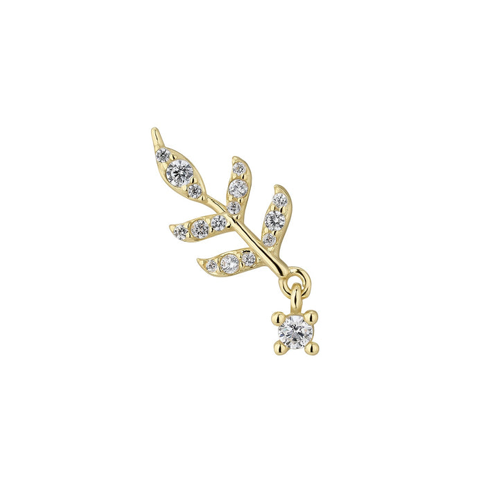 PIERCING HAZEL