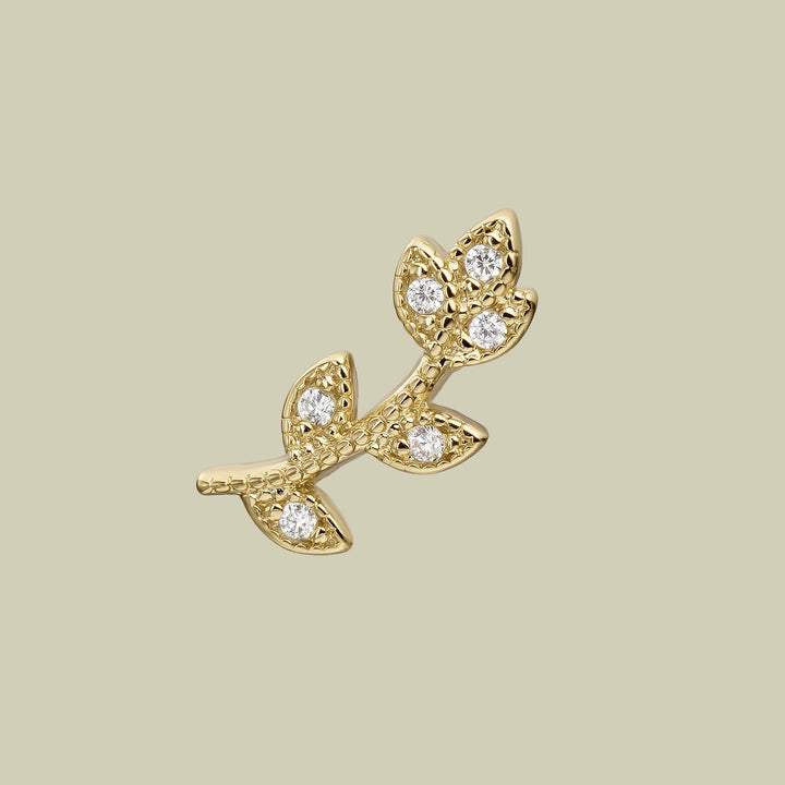 PIERCING TREPADOR CALATEA