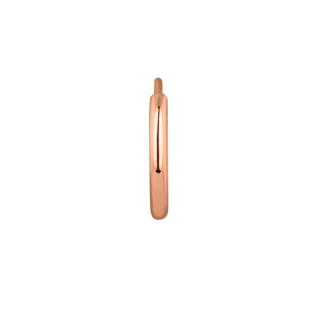 ROZEGOUDEN RING PIERCING OORBEL RANIA