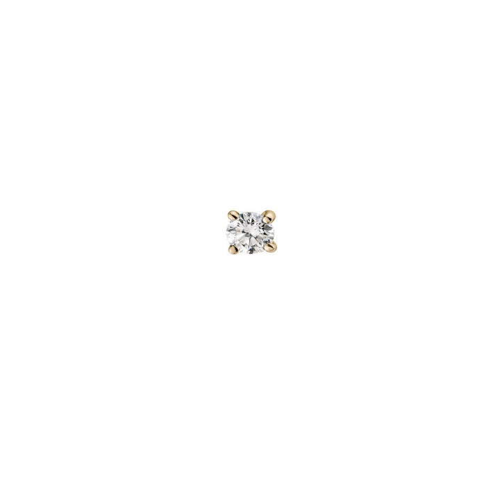 BLISSOU DIAMANT 219